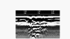 wpe1.gif (25603 bytes)